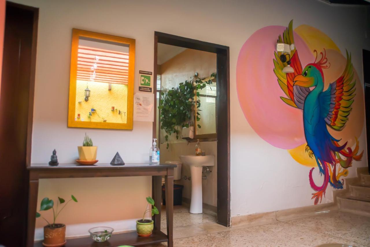 Ivy Hostel Medellín Eksteriør billede